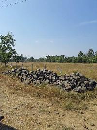  Agricultural Land for Sale in Palghar West