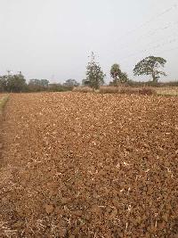  Agricultural Land for Sale in Paradip, Jagatsinghapur