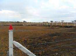  Residential Plot for Sale in Ghuma, Ahmedabad