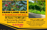  Agricultural Land for Sale in Thandikudi, Kodaikanal