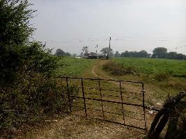  Agricultural Land for Sale in Mundi, Khandwa