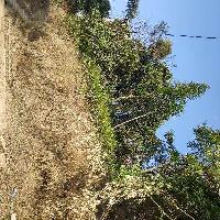  Commercial Land for Sale in Pakyong, Gangtok