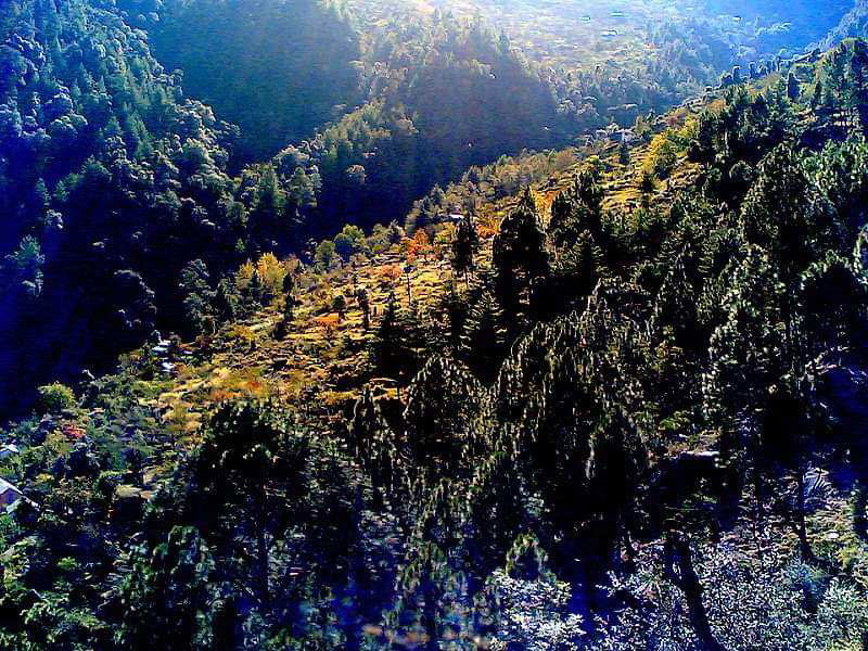 Agricultural Land 65 Bigha for Sale in Aut, Mandi
