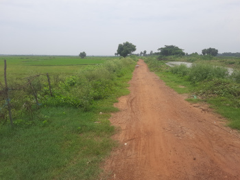 1 BHK Farm House for Sale in Mancheswar, Khordha