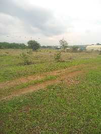  Agricultural Land for Sale in Neelbad, Bhopal
