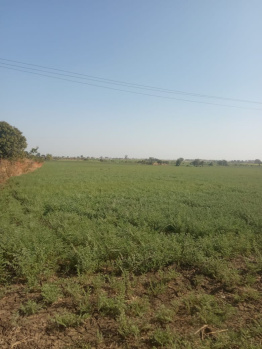  Agricultural Land for Sale in Anwali Kheda, Sehore