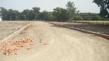  Agricultural Land for Sale in Mohan Road, Lucknow