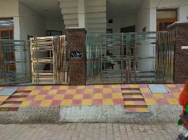  Flat for Rent in Palm Enclave, Zirakpur