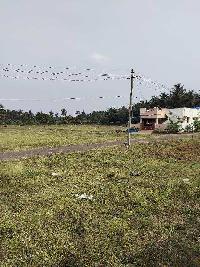  Industrial Land for Sale in Mayileripalayam, Coimbatore