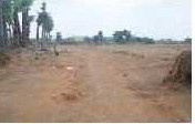  Agricultural Land for Sale in Pedapadu, Srikakulam