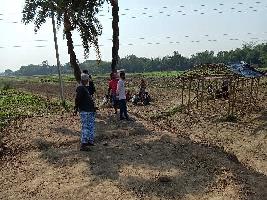  Residential Plot for Sale in Panagarh, Bardhaman