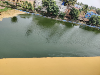 2 BHK Flat for Sale in Belur, Howrah