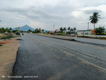  Residential Plot for Sale in Nallavanpalayam, Tiruvannamalai