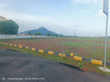  Residential Plot for Sale in Nallavan Palayam, Tiruvannamalai