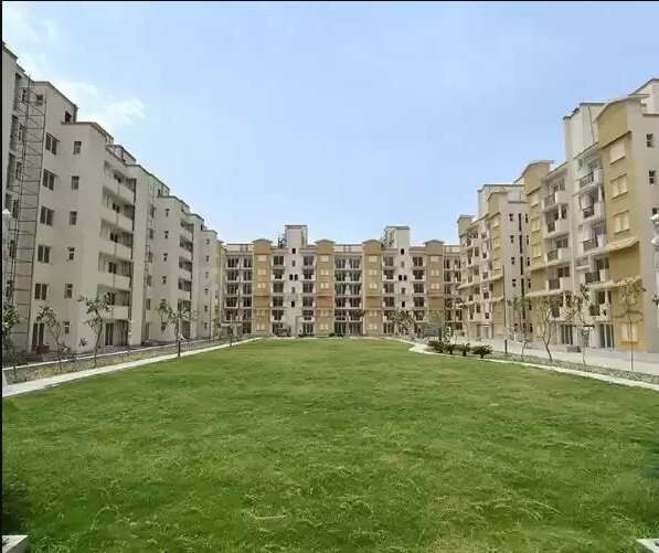 3 BHK Apartment 1650 Sq.ft. for Rent in Sector 65 Gurgaon