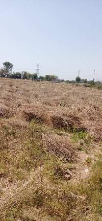 Agricultural Land for Sale in Palanpur, Banaskantha