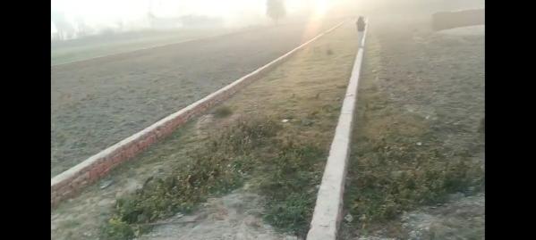  1 Katha Residential Plot for Sale in Paharpur, Champaran
