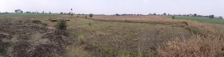  Agricultural Land for Sale in Kotra Sultanabad, Bhopal