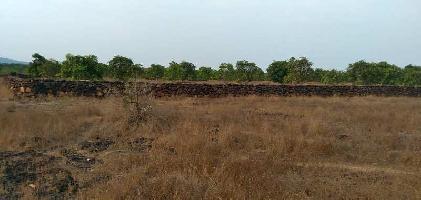  Agricultural Land for Sale in Devgad, Sindhudurg