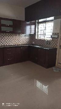 2 BHK Flat for Rent in Sarjapur Road, Bangalore