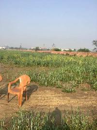  Agricultural Land for Sale in Baghola, Palwal
