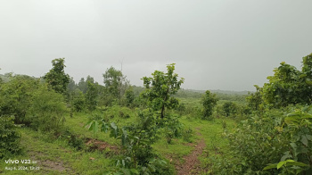  Agricultural Land for Sale in Kudal, Sindhudurg