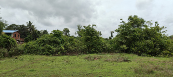  Residential Plot for Sale in Kudal, Sindhudurg