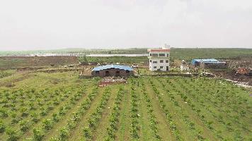  Agricultural Land for Sale in MUTHALNE, Akola, Akola