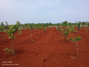 Residential Plot for Sale in Mathurathagam, Chengalpattu, Chengalpattu