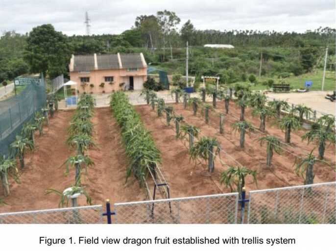 1 BHK Farm House 450 Sq.ft. for Sale in Dindigul Road, Tiruchirappalli