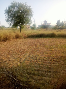  Agricultural Land for Sale in Achrol, Jaipur