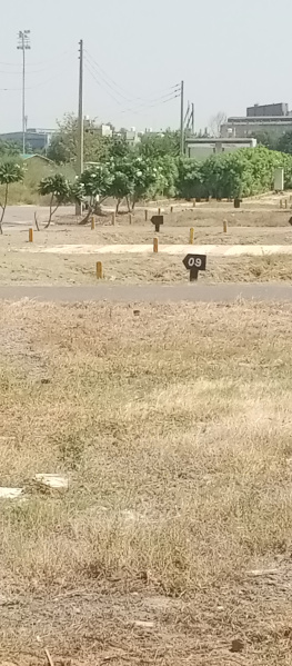  Commercial Land 60 Sq. Yards for Sale in Sector 23 Dharuhera