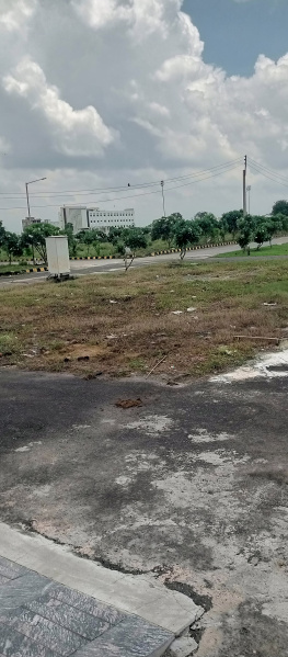  Residential Plot 177 Sq. Yards for Sale in Sector 19 Dharuhera