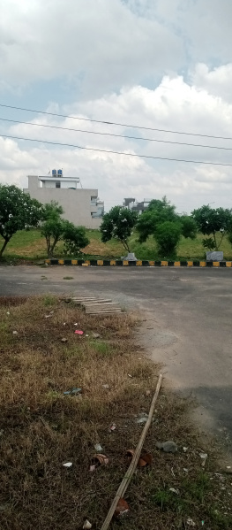  Residential Plot 177 Sq. Yards for Sale in Sector 19 Dharuhera