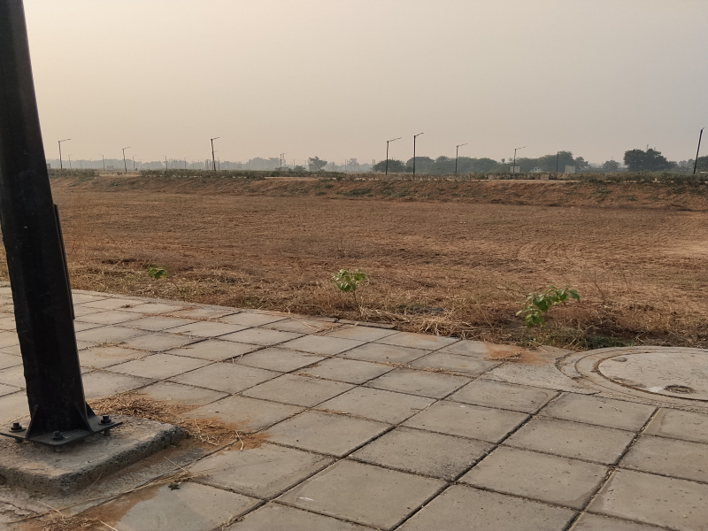  251 Sq. Yards Residential Plot for Sale in Sector 23 Dharuhera