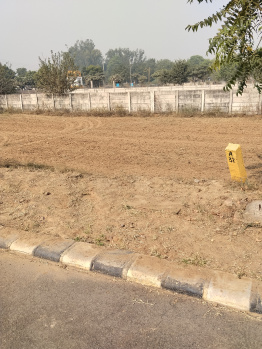  Residential Plot for Sale in Sector 7, Dharuhera