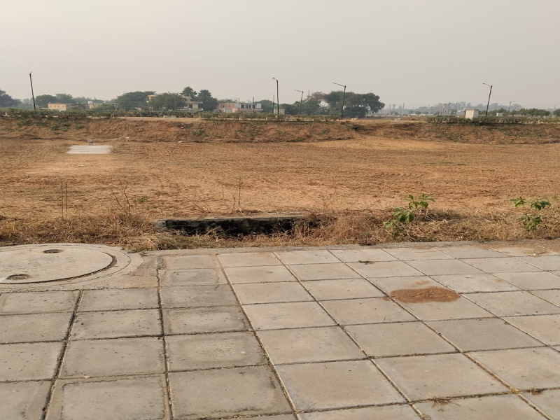  251 Sq. Yards Residential Plot for Sale in Sector 19 Dharuhera