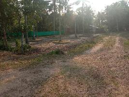  Residential Plot for Sale in Kottiyam, Kollam