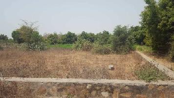  Agricultural Land for Sale in kadvasan,mehsana, Mehsana, Mehsana