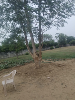  Agricultural Land for Sale in Bhondsi, Gurgaon