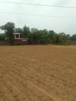 2.5 BHK Farm House for Sale in Bilaspur, Gurgaon