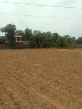 2.5 BHK Farm House for Sale in Bilaspur, Gurgaon