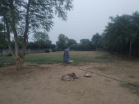 1 BHK Farm House for Sale in Teekli Village, Sohna, Gurgaon