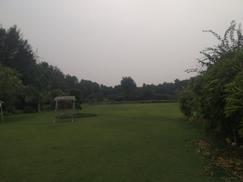  Agricultural Land for Sale in Bilaspur, Gurgaon