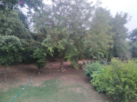  Agricultural Land for Sale in Sohna Road, Gurgaon