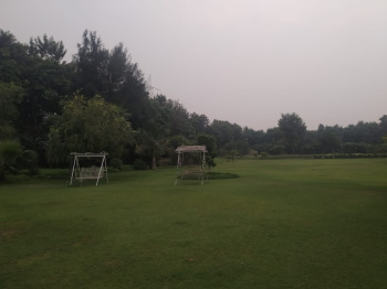  Agricultural Land for Sale in Teekli Village, Sohna, Gurgaon