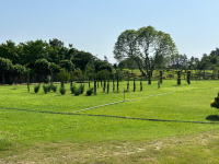  Residential Plot for Sale in Sector 68 Gurgaon