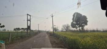  Agricultural Land for Sale in Jaipur Road, Behror