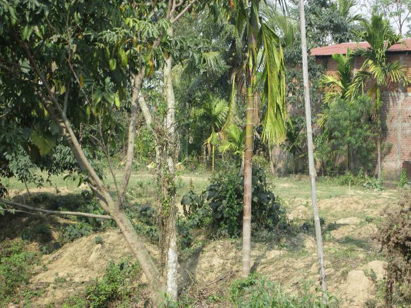  Commercial Land 2 Bigha for Sale in Raha, Nagaon