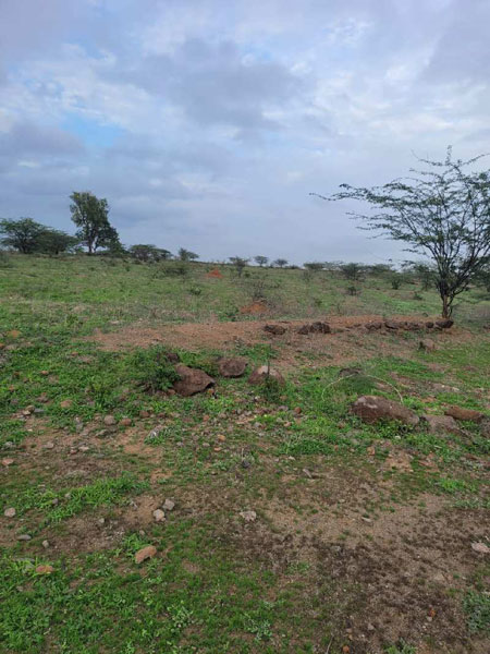 Agricultural Land 56 Acre for Sale in